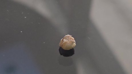 Using my jigger to educate viewers about the jigger structure (June 13th 2025).