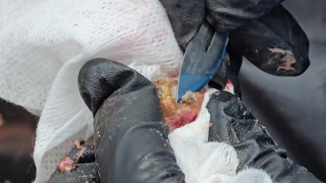 Robert Bulimo’s follow up dejiggering - A LOT OF JIGGERS #3 (June 22nd 2025)