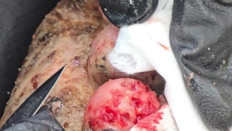 Robert Bulimo’s follow up dejiggering - A LOT OF JIGGERS #6 (June 23rd 2025)
